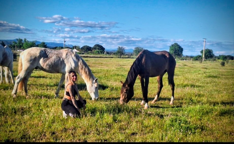REFUGIO PARA CABALLOS campaign photo, 5 of 8