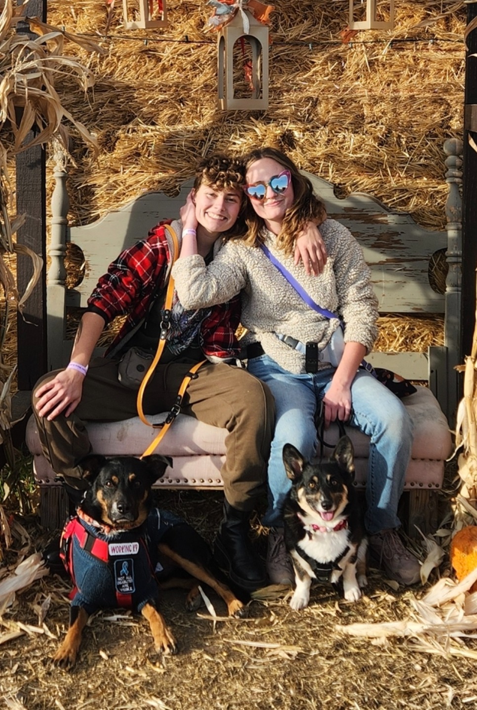 Urgent Help Needed for Moving Costs campaign photo, 4 of 5