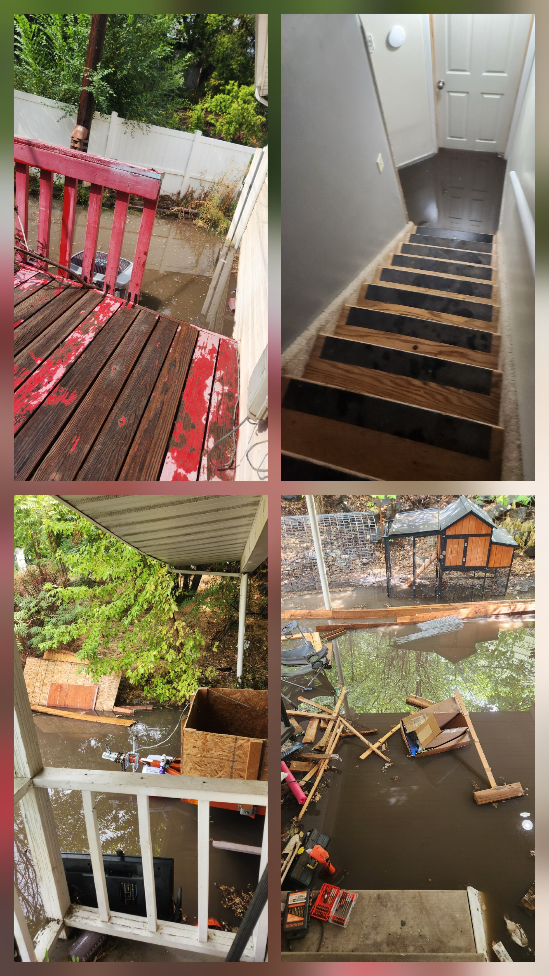 Urgent Help Needed for Moving Costs campaign photo, 2 of 5