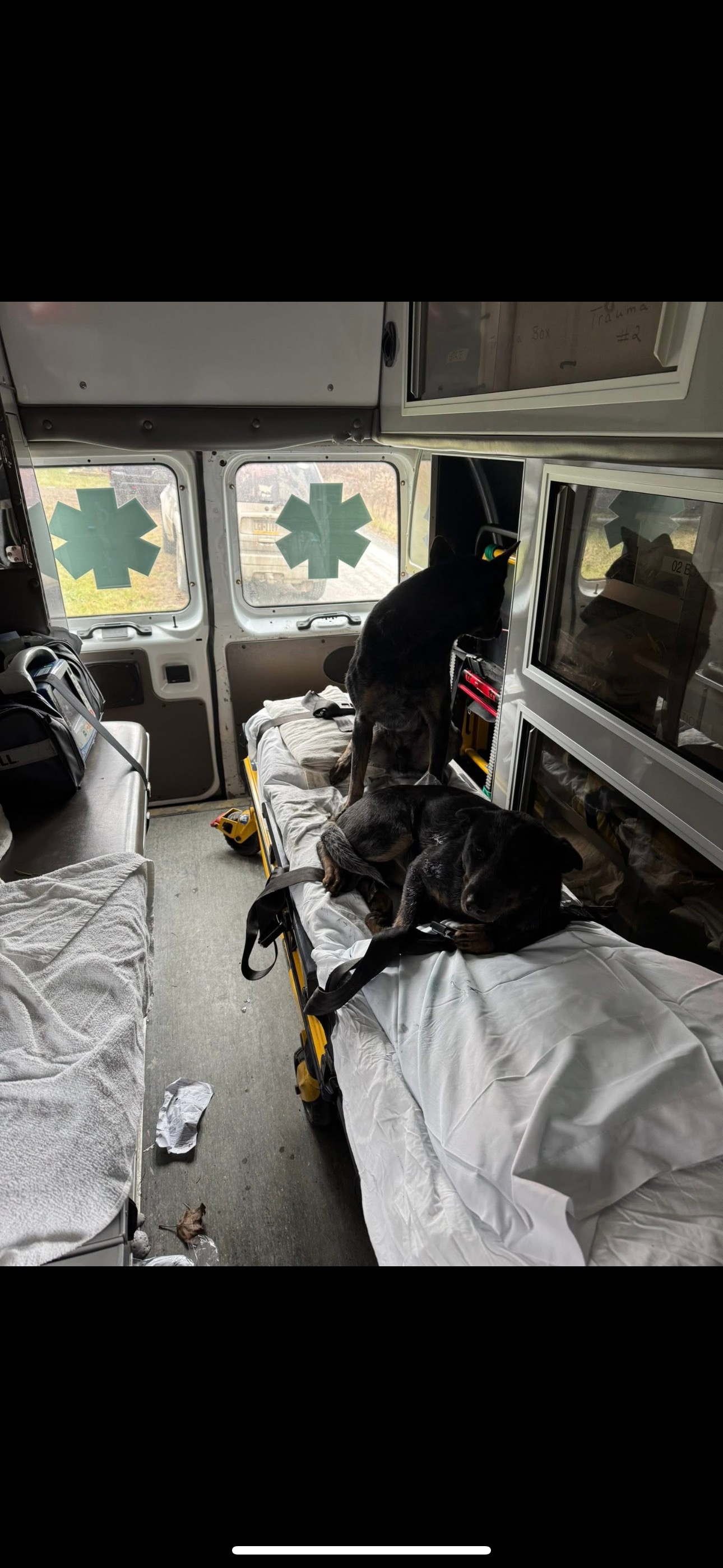 Support Kenz Bostwick's Recovery from Fire Loss campaign photo, 2 of 7
