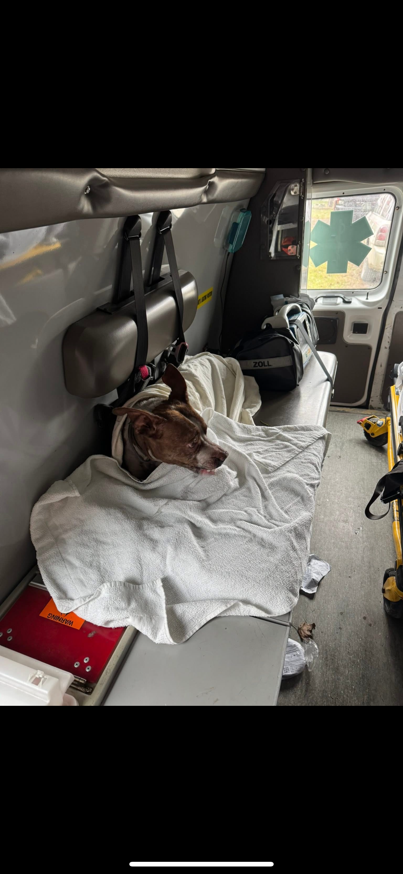 Support Kenz Bostwick's Recovery from Fire Loss campaign photo, 6 of 7