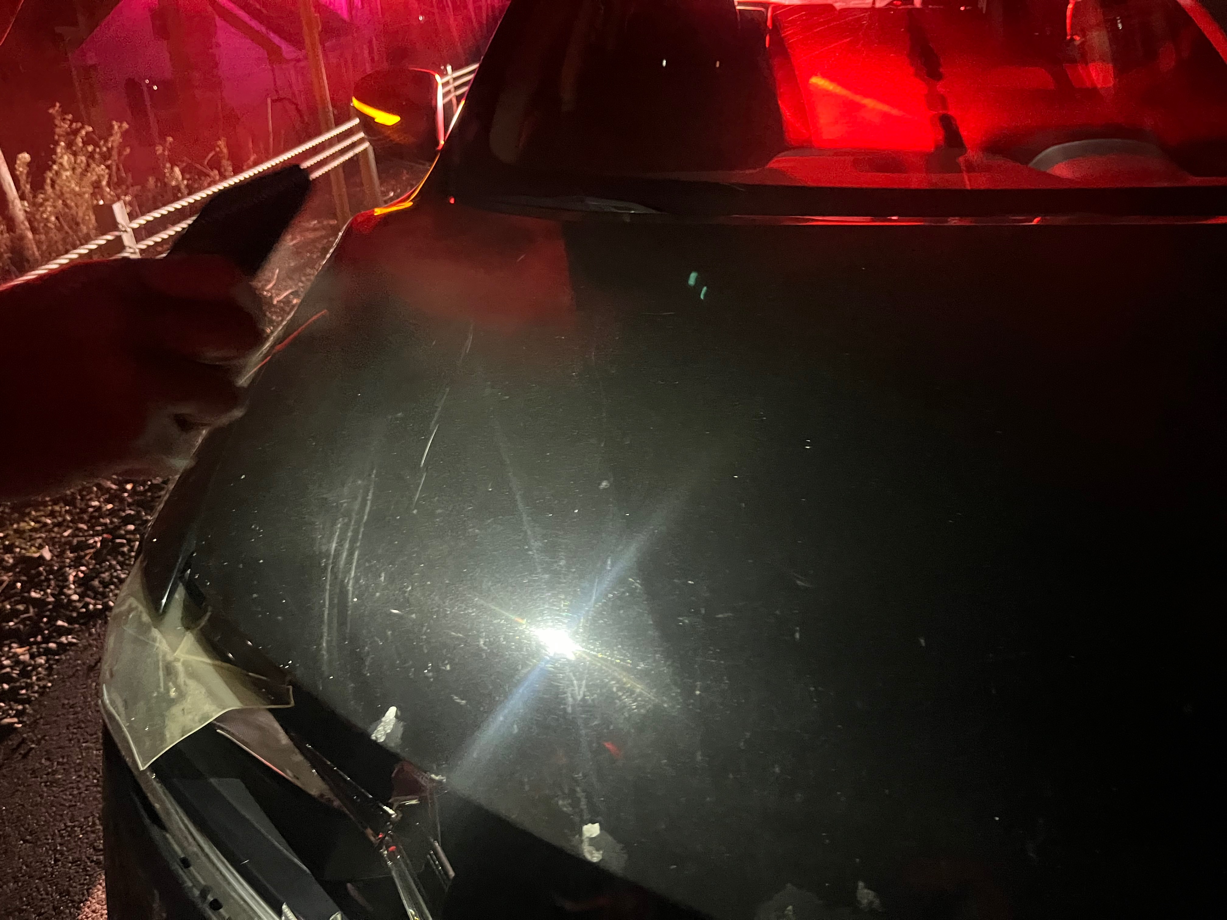 Support Our Car Repair After Deer Accident campaign photo, 5 of 8