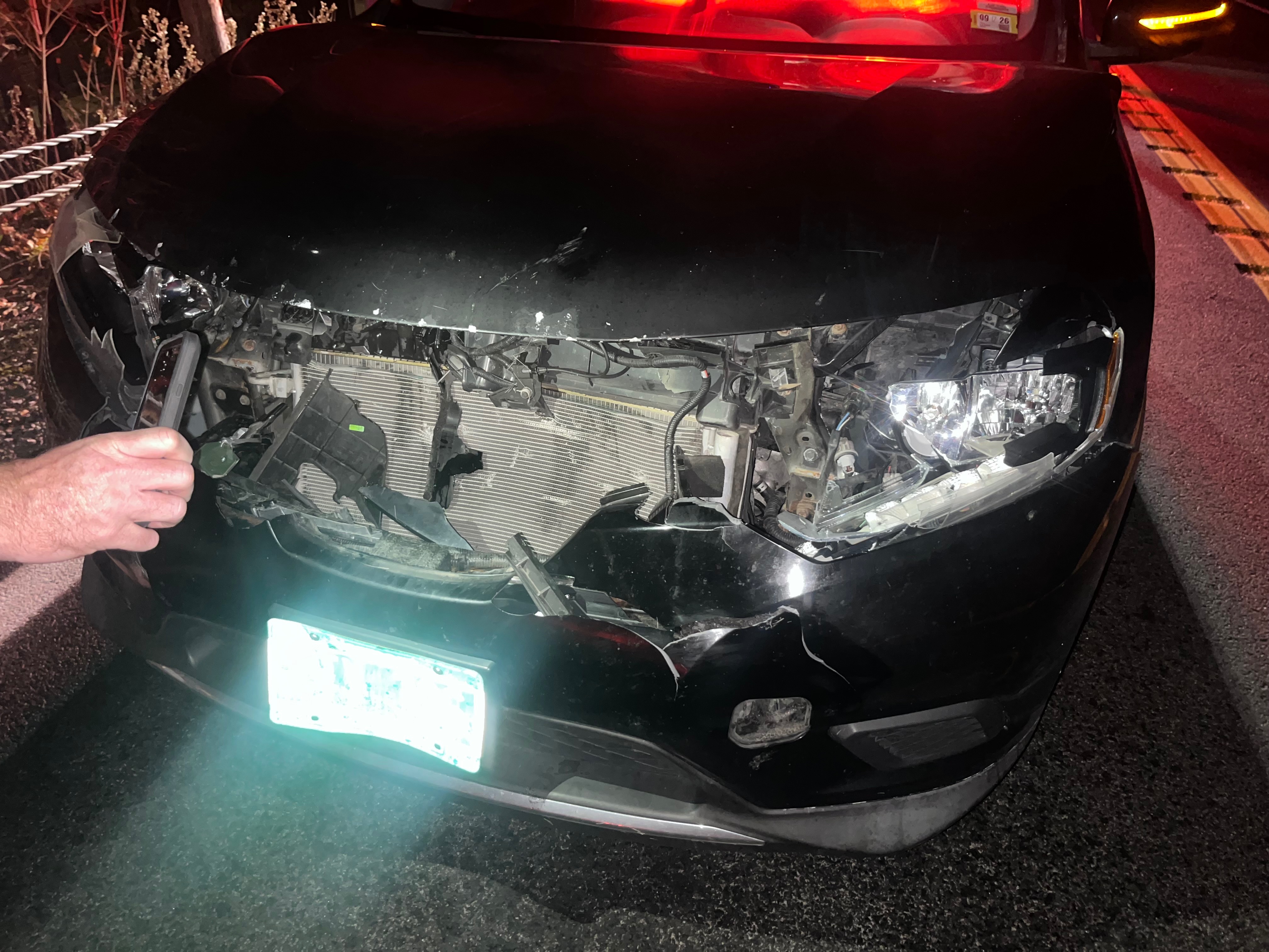 Support Our Car Repair After Deer Accident campaign photo, 6 of 8