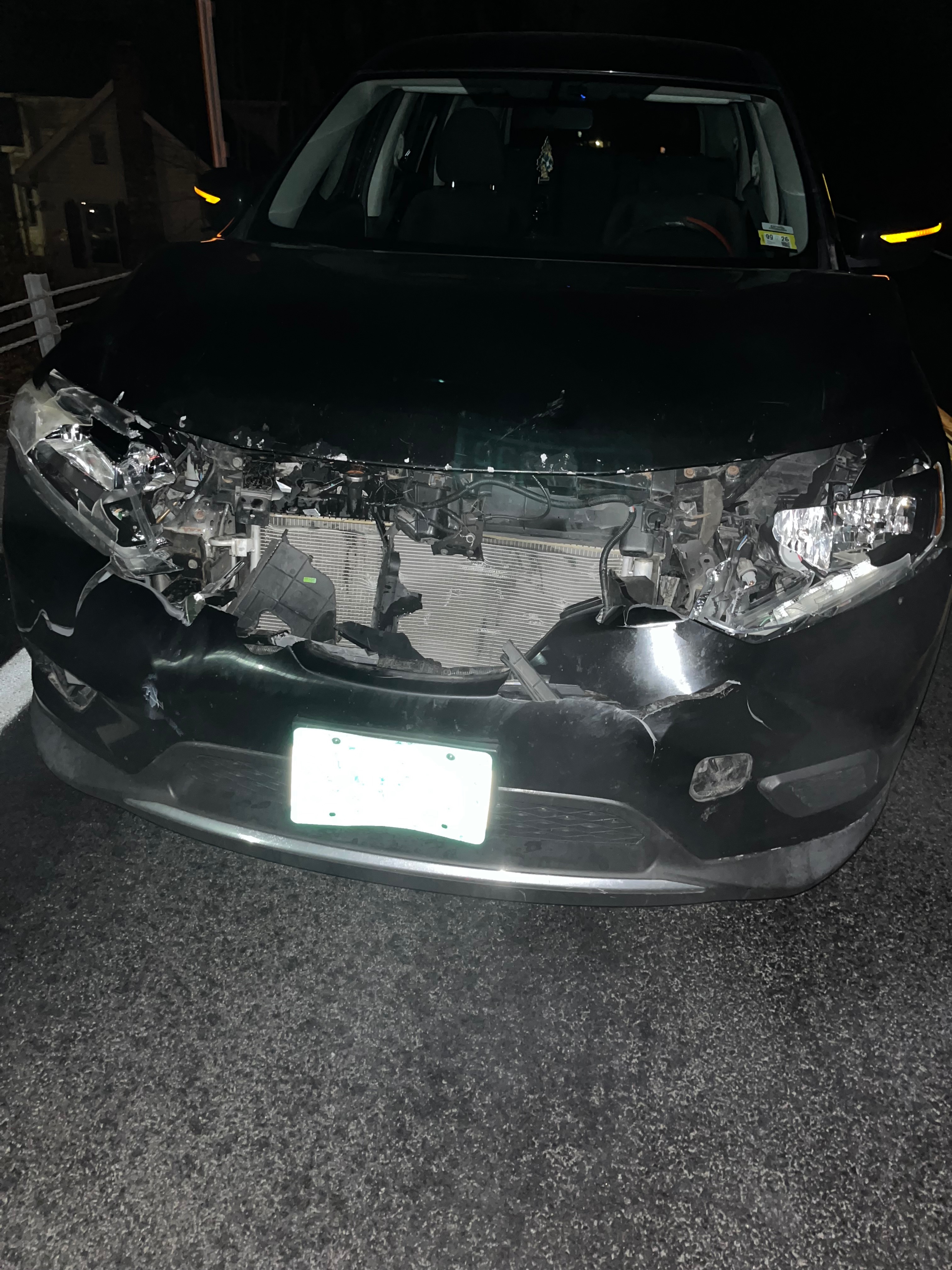 Support Our Car Repair After Deer Accident campaign photo, 4 of 8