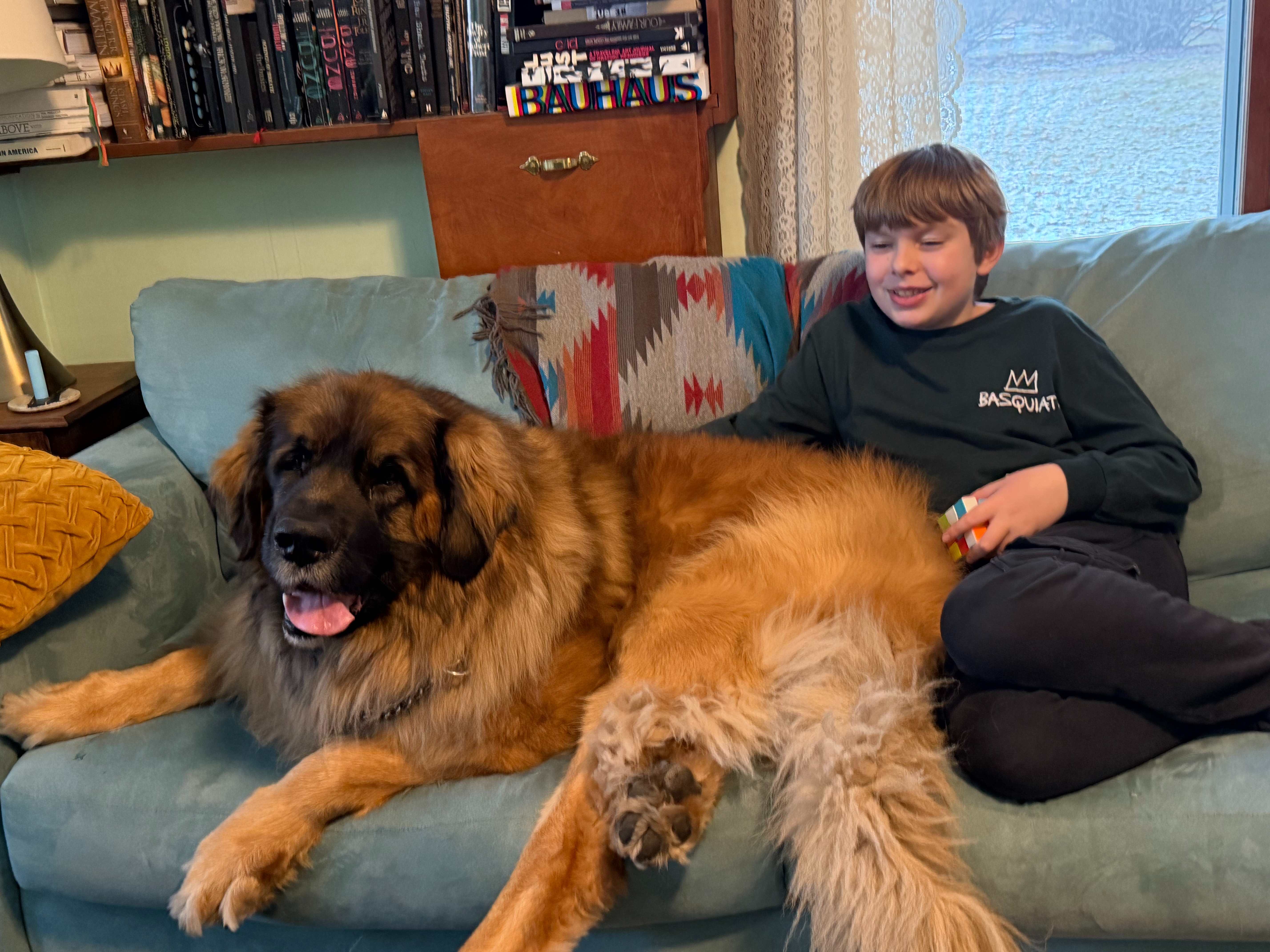 Paws Build Fundraiser by Jan Grant : Paws & Effect Build a Dog Therapy Center in ...