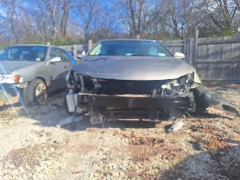 UPDATE ! Help Fonda While She Recovers campaign photo, 2 of 5