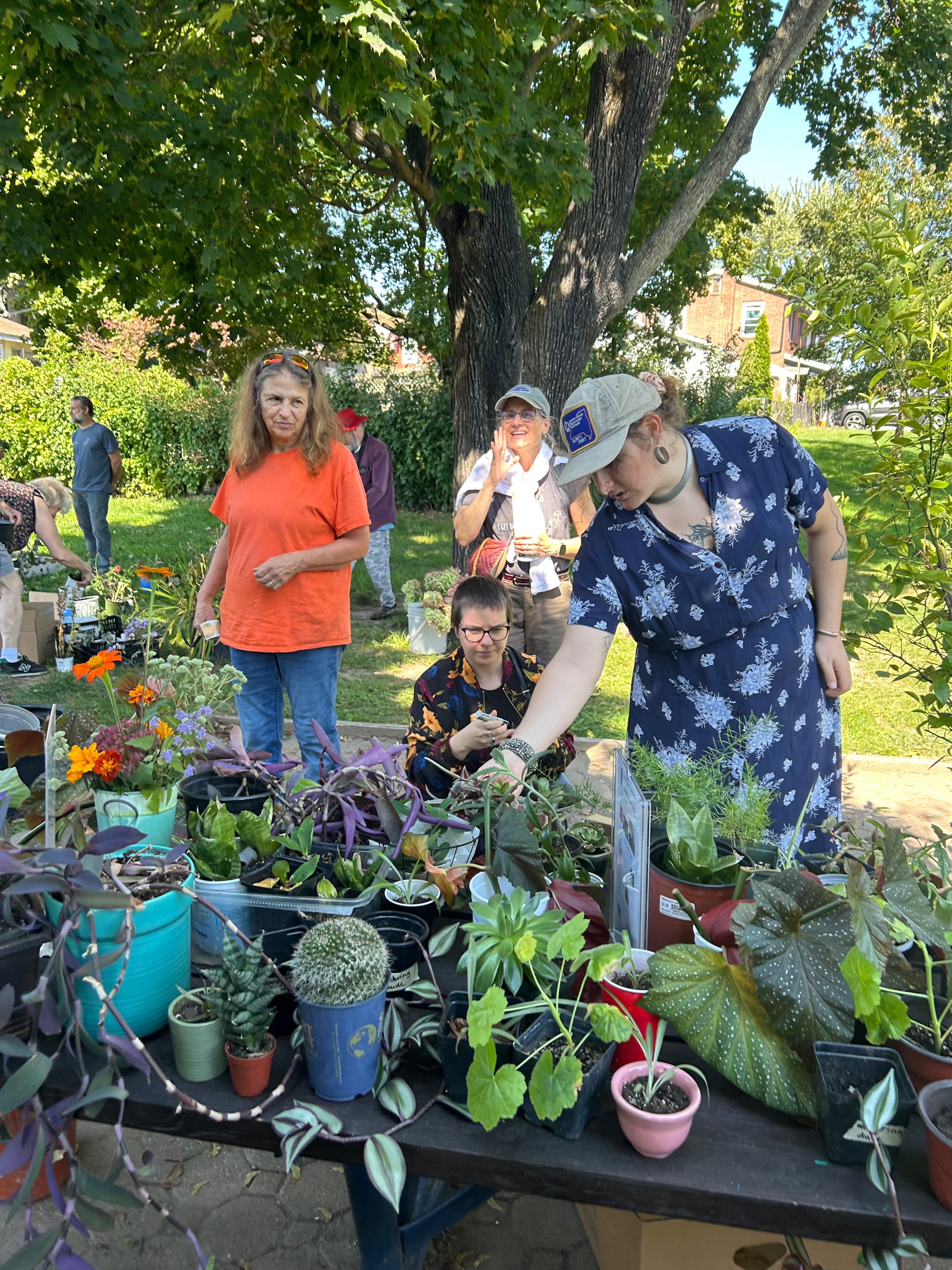 Hudson Valley Plant Exchange: Winter 2026 Kickoff campaign photo, 6 of 8