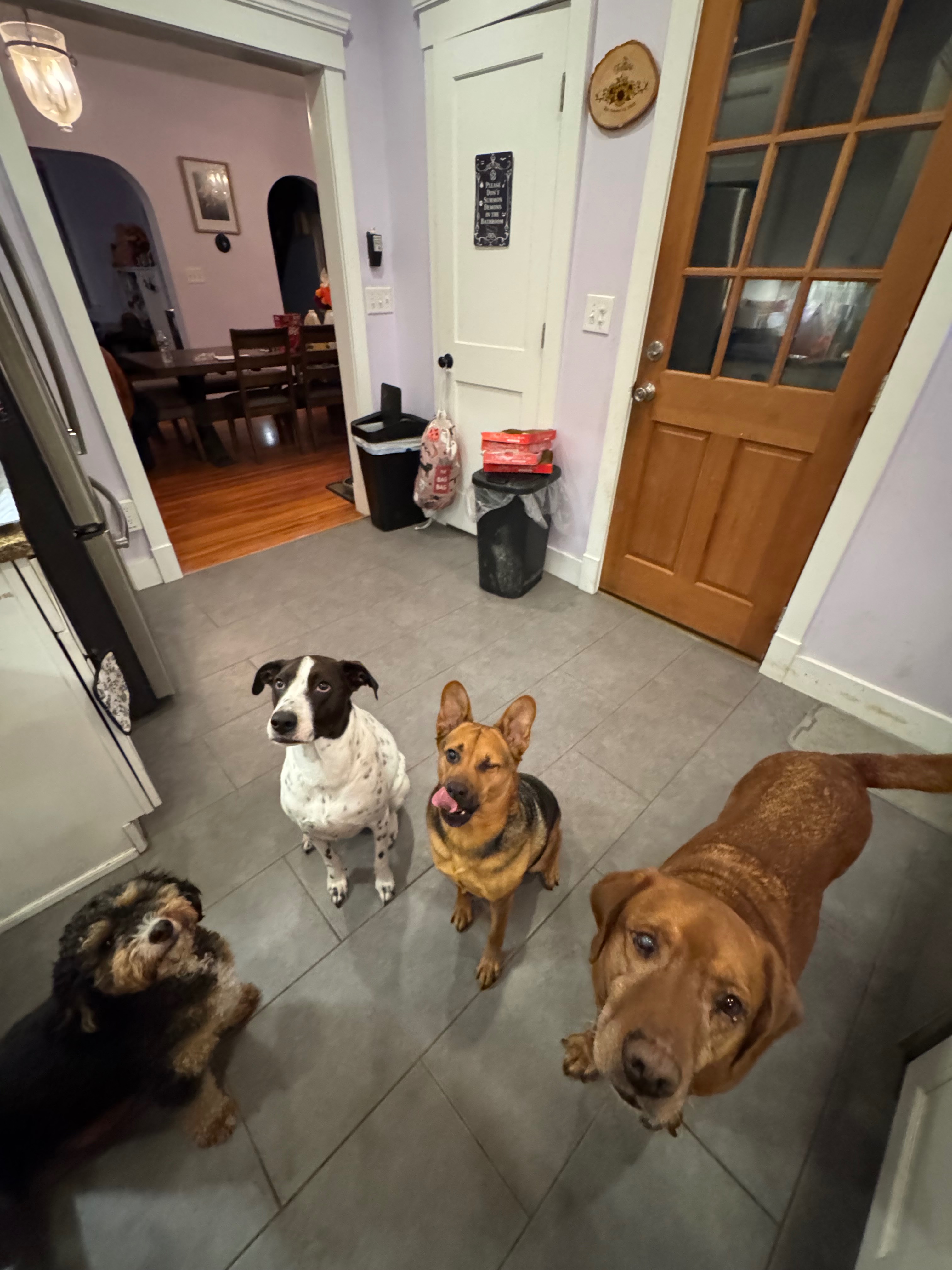 Donate to Keep Maria and Steven's Family Together campaign photo, 4 of 5
