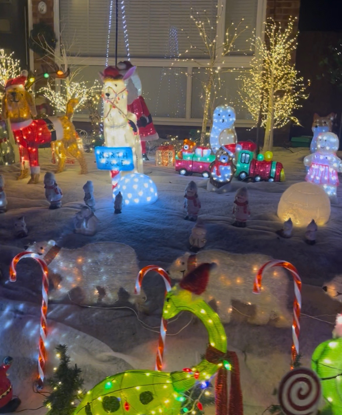 Lighting up Christmas for the No Shame Foundation campaign photo, 2 of 8