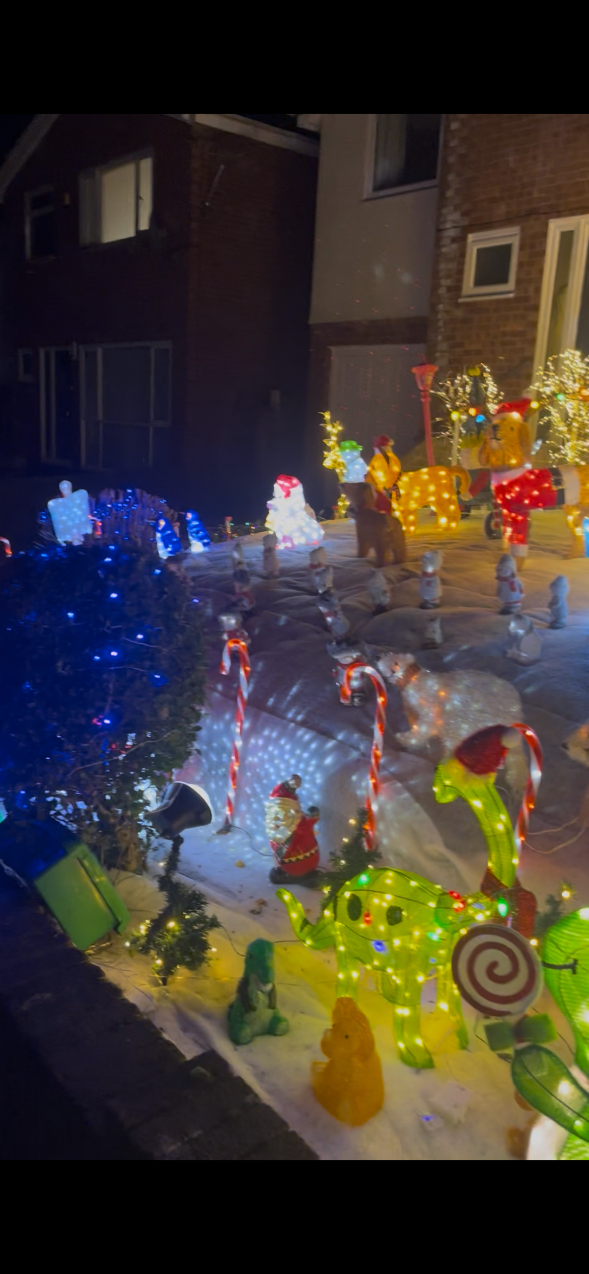 Lighting up Christmas for the No Shame Foundation campaign photo, 6 of 8