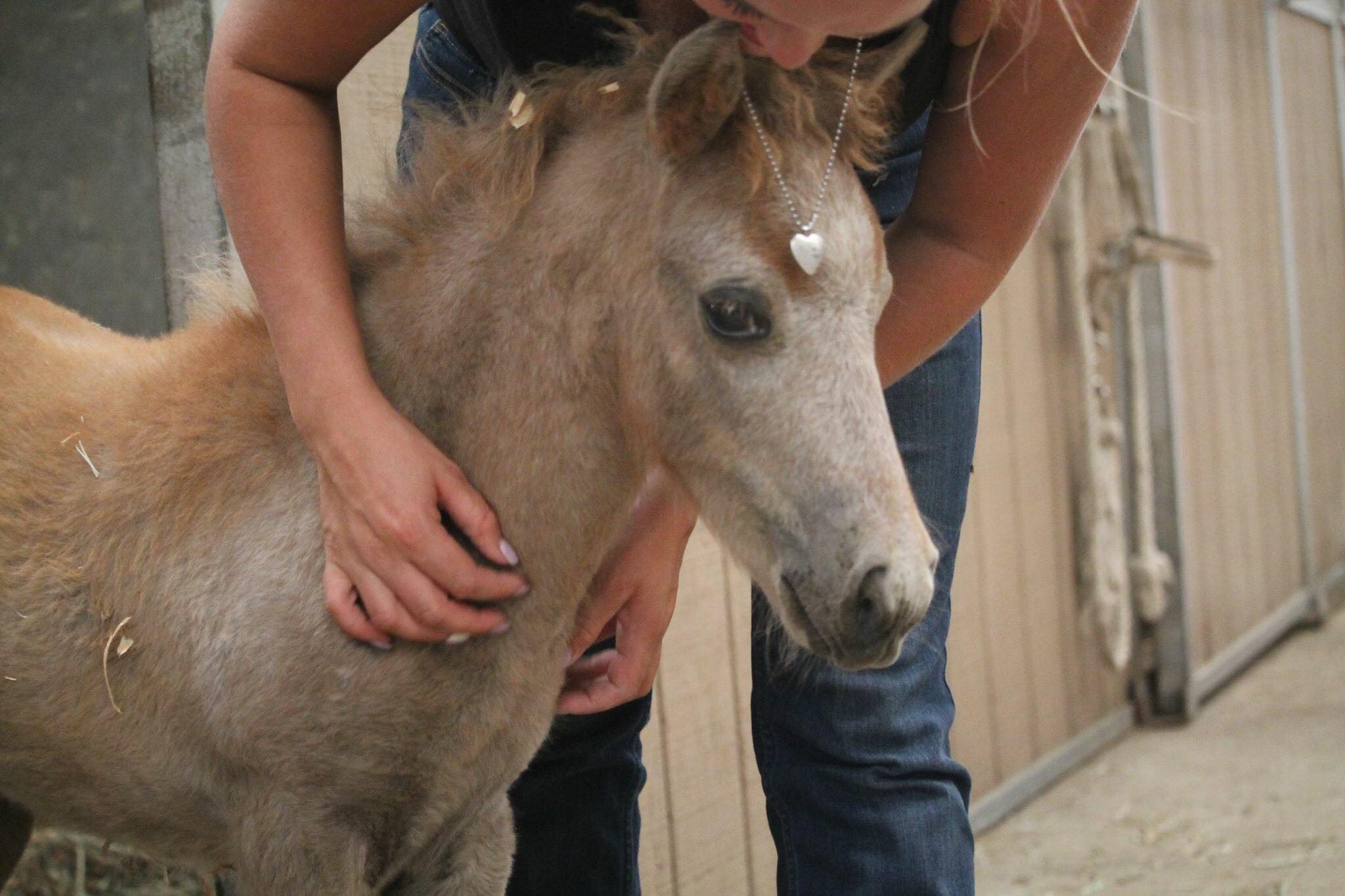 Support Fairytale Farm's Mission campaign photo, 5 of 5