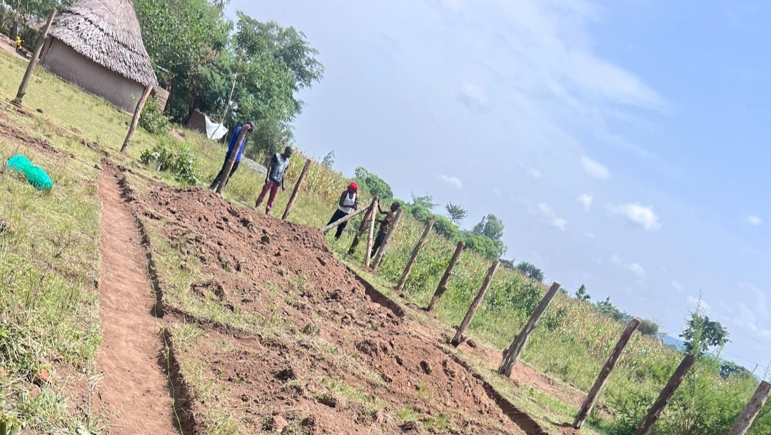 A Place to Grow: Building a Farm & Community Space campaign photo, 2 of 8