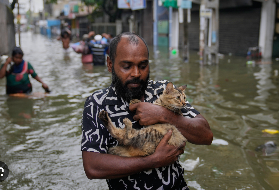 Open Your Heart for Sri Lanka – Rebuild and Stand Together campaign photo, 2 of 8