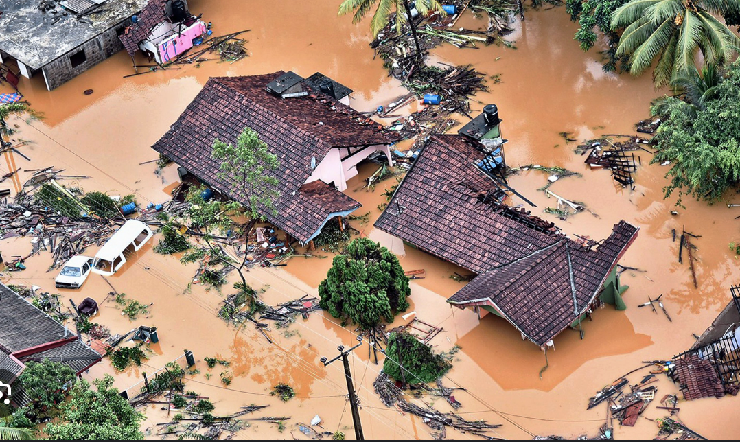 Open Your Heart for Sri Lanka – Rebuild and Stand Together campaign photo, 6 of 8