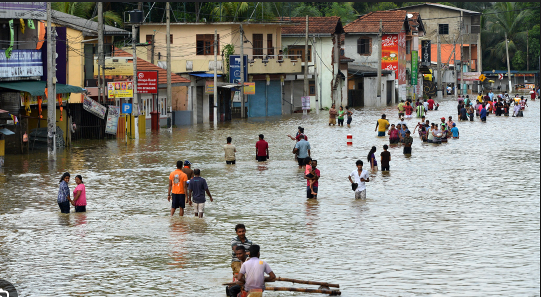 Open Your Heart for Sri Lanka – Rebuild and Stand Together campaign photo, 5 of 8