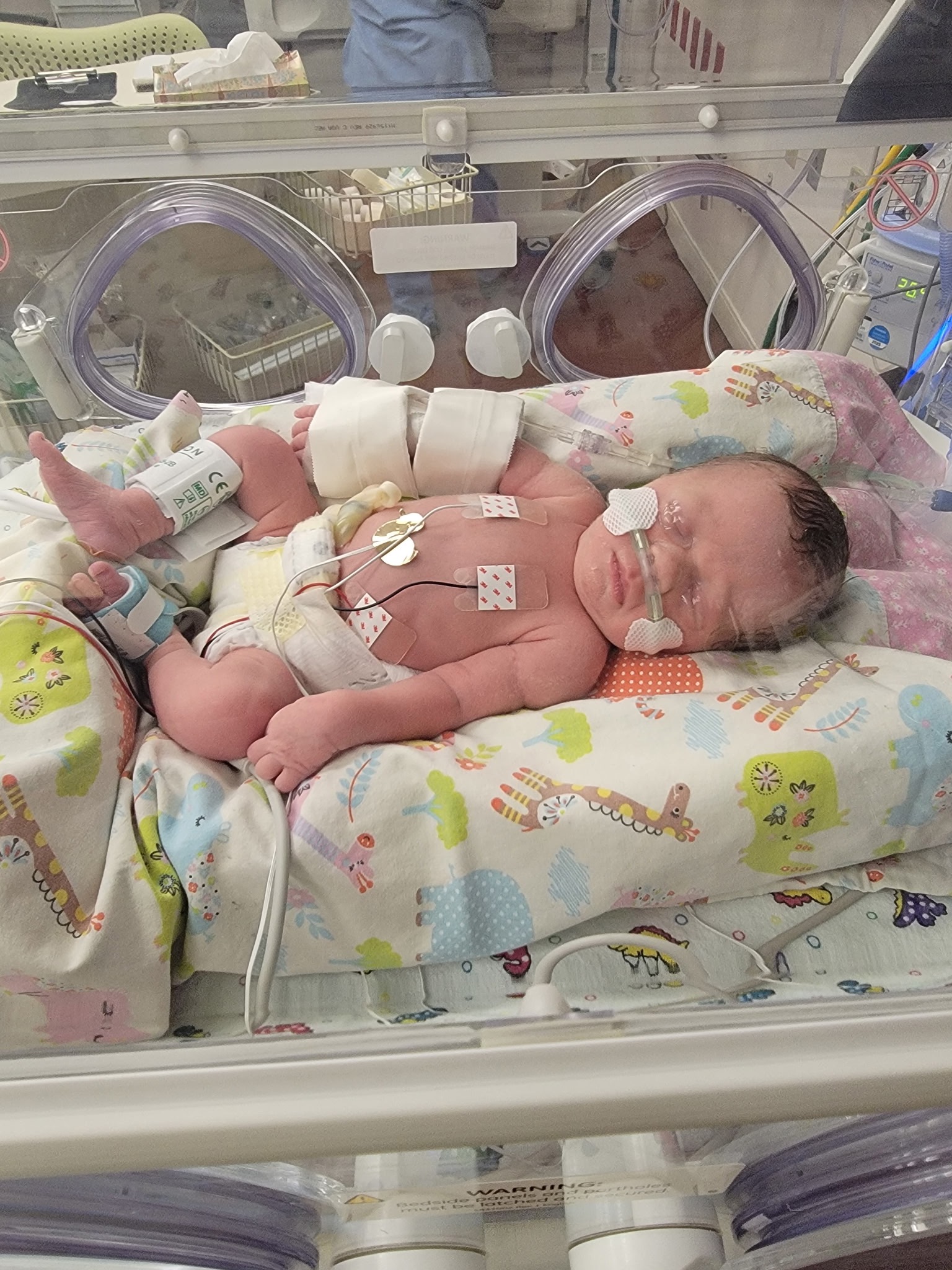 Help Christina's Family Through Medical Hardship campaign photo, 2 of 6