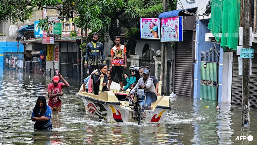 Seeing Double – Sri Lanka Flood Relief Fundraiser campaign photo, 7 of 8