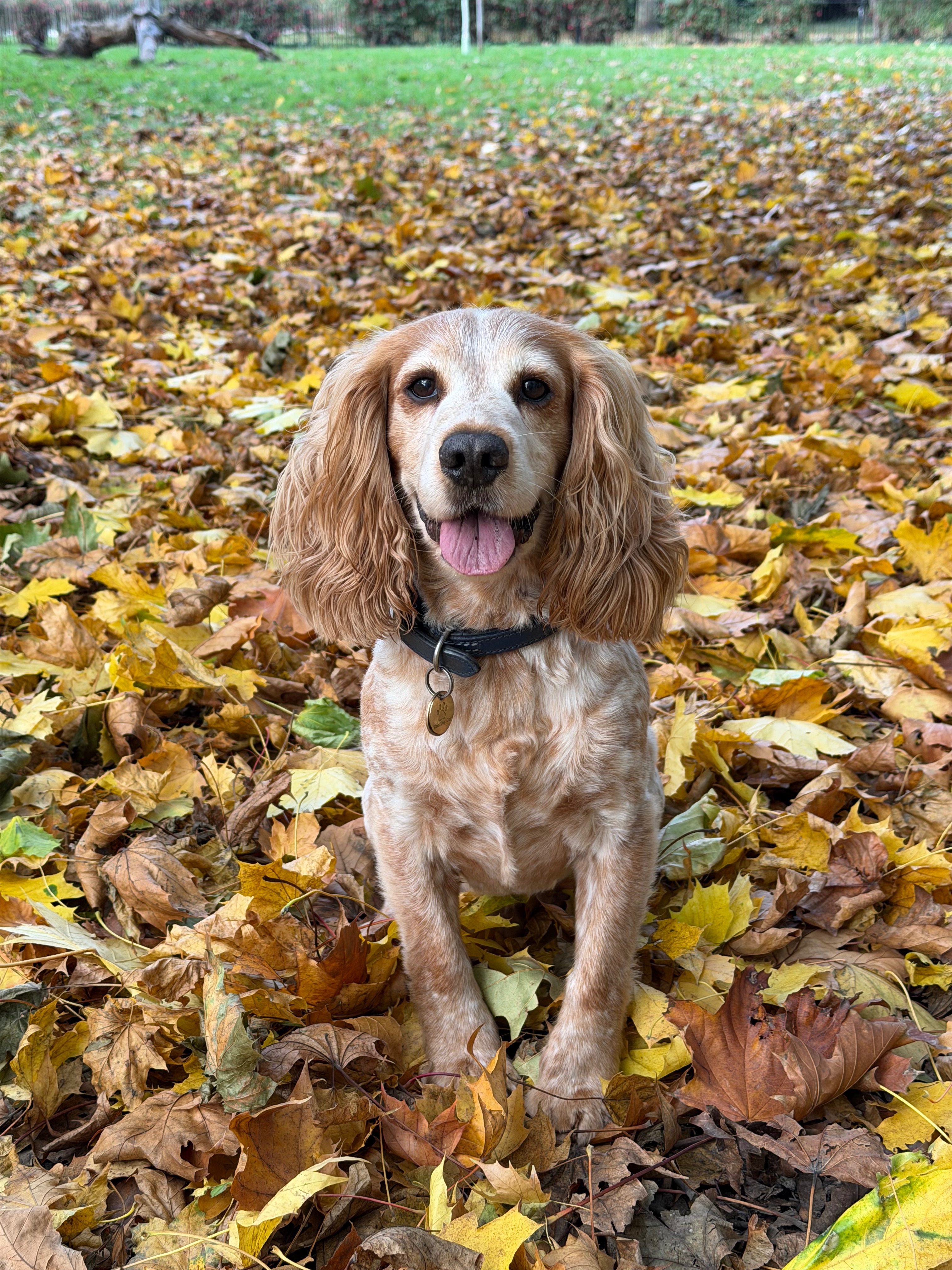 Bailey campaign photo, 5 of 8