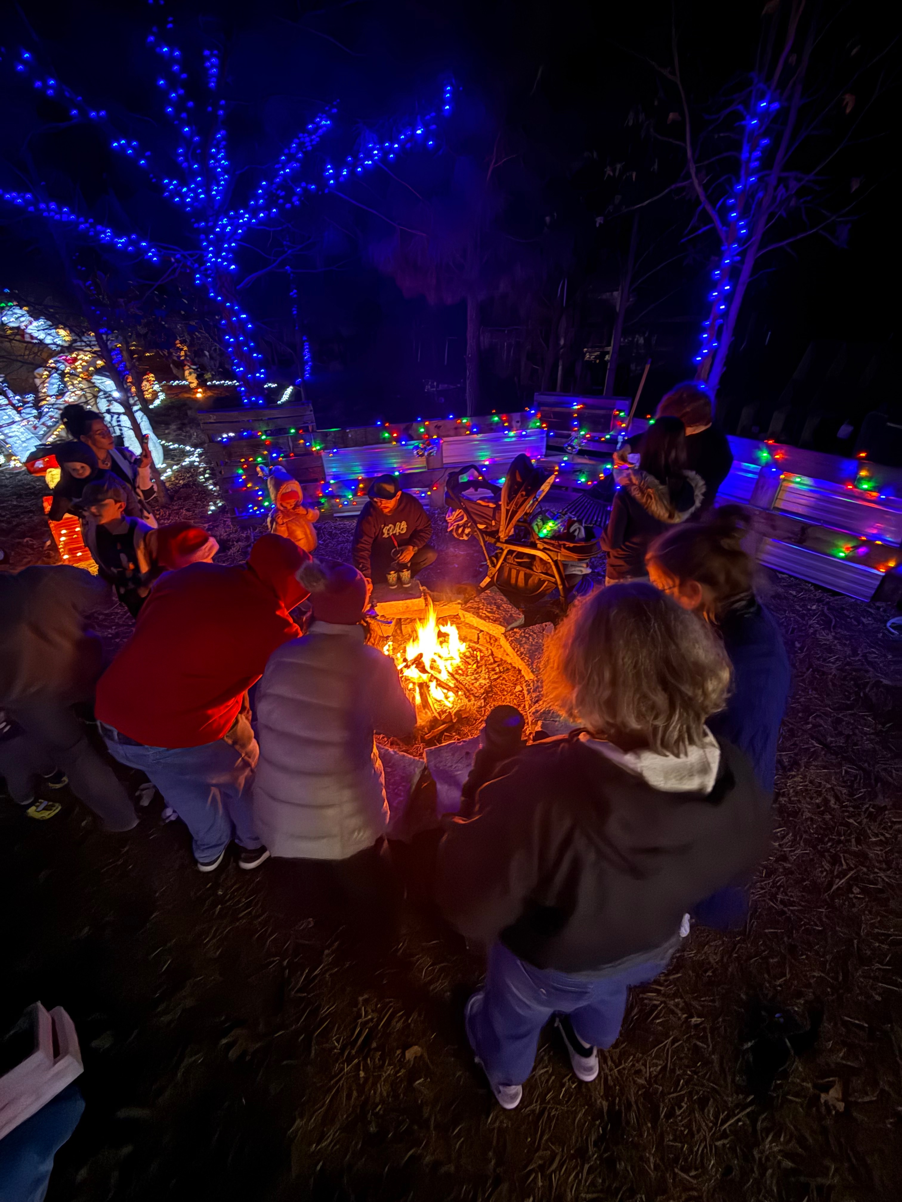 Keep the Pogies festival of lights Trail Magical and FREE campaign photo, 5 of 8