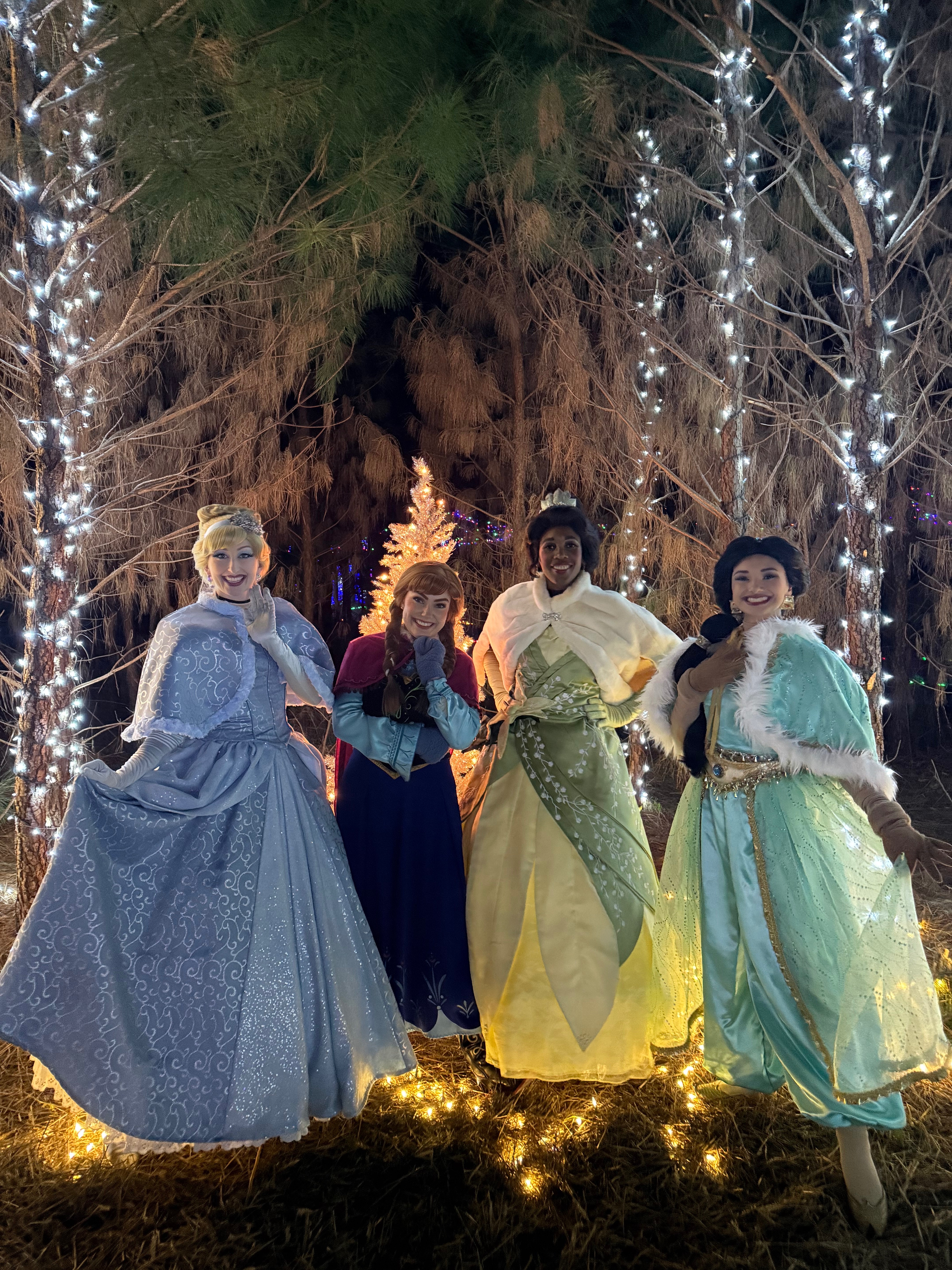 Keep the Pogies festival of lights Trail Magical and FREE campaign photo, 6 of 8