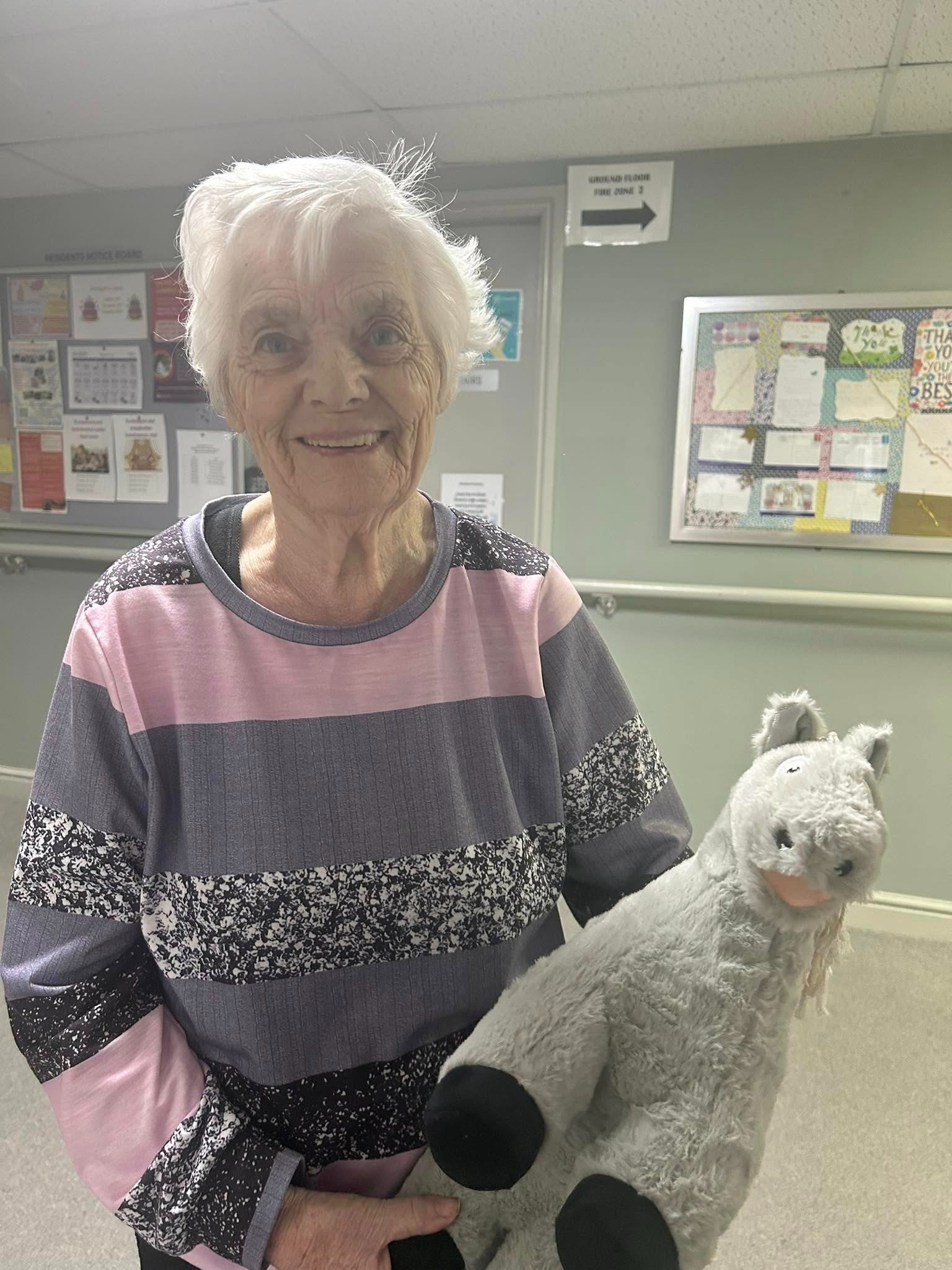 Help us buy Crafty Ponies to give to vulnerable local people campaign photo, 4 of 5