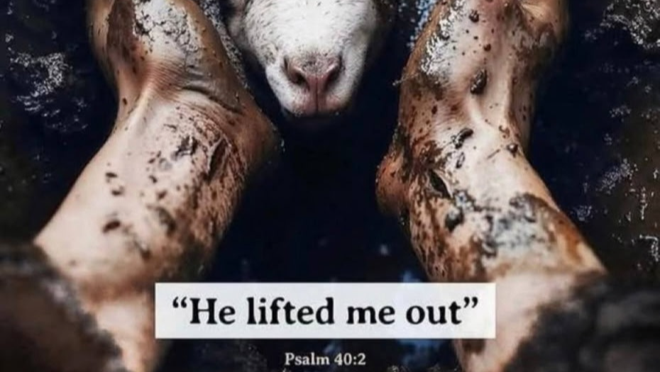 Firm Foundation Recovery and Redemption Family Farm