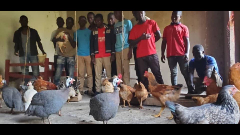 Empower Ugandan Youth: Poultry Project for Change