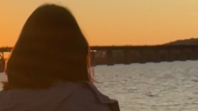 Help Ann Settle financial problems and Return Home photo