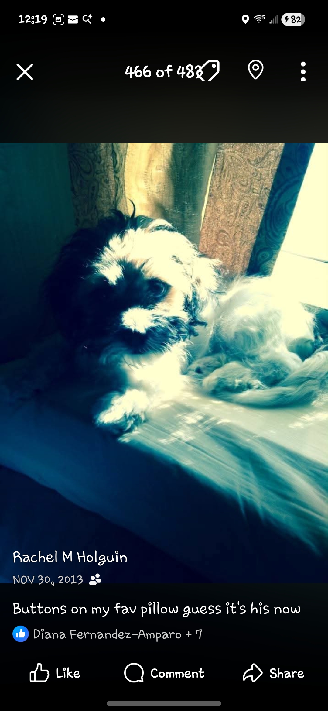 please help my senior dog Buttons with vet care campaign photo, 5 of 9