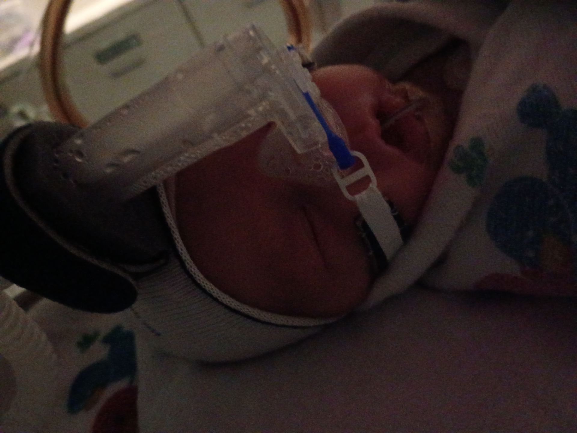 Support for Macy & Mallory’s NICU Journey campaign photo, 4 of 7