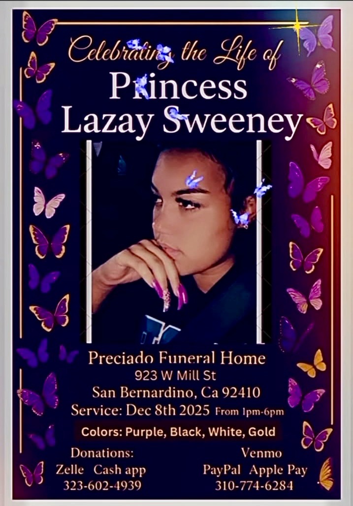 Help Us Lay Princess to Rest campaign photo, 2 of 3
