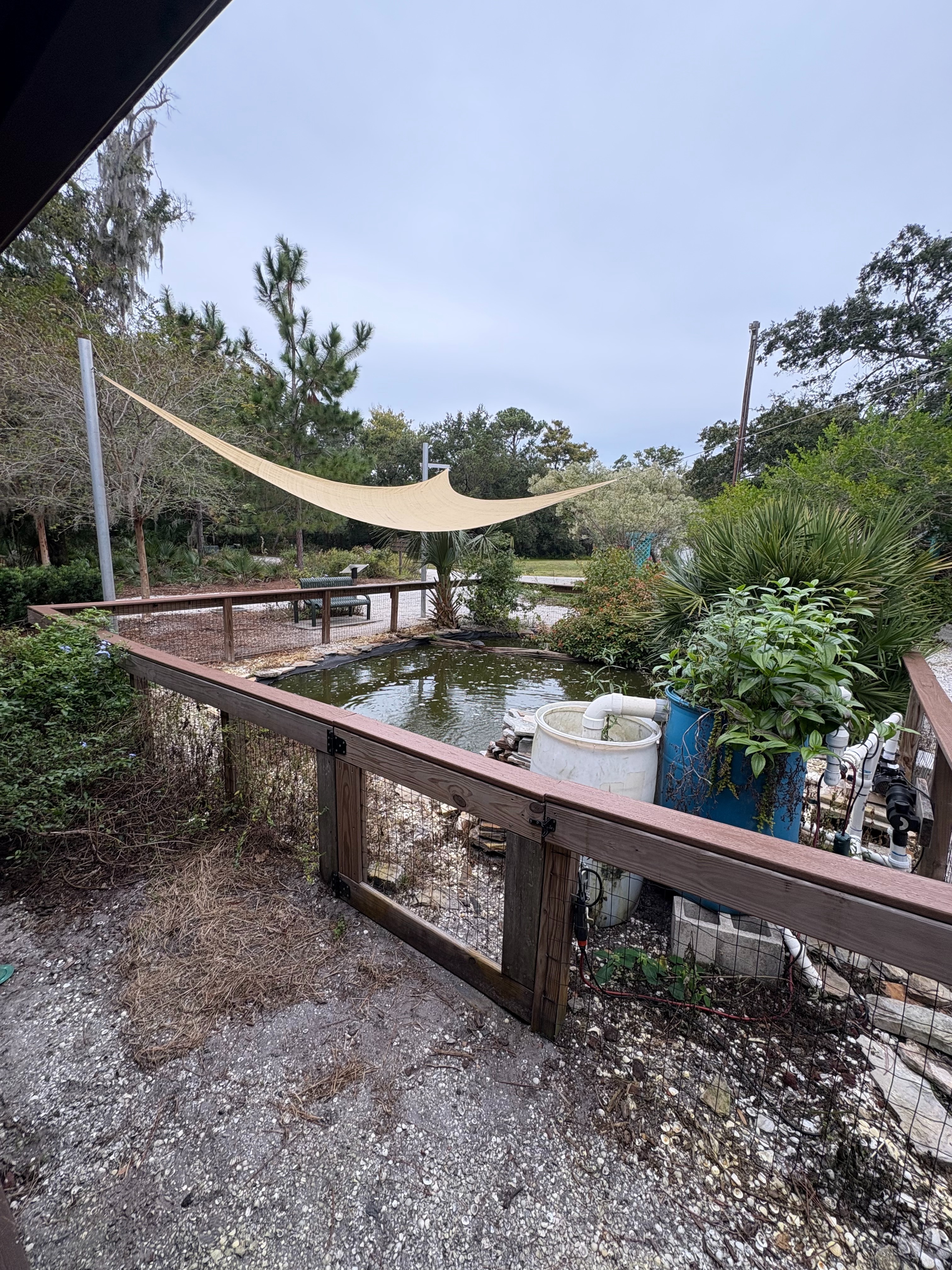 Eduardo's Eagle Project: Turtle Pond Remodel campaign photo, 2 of 3