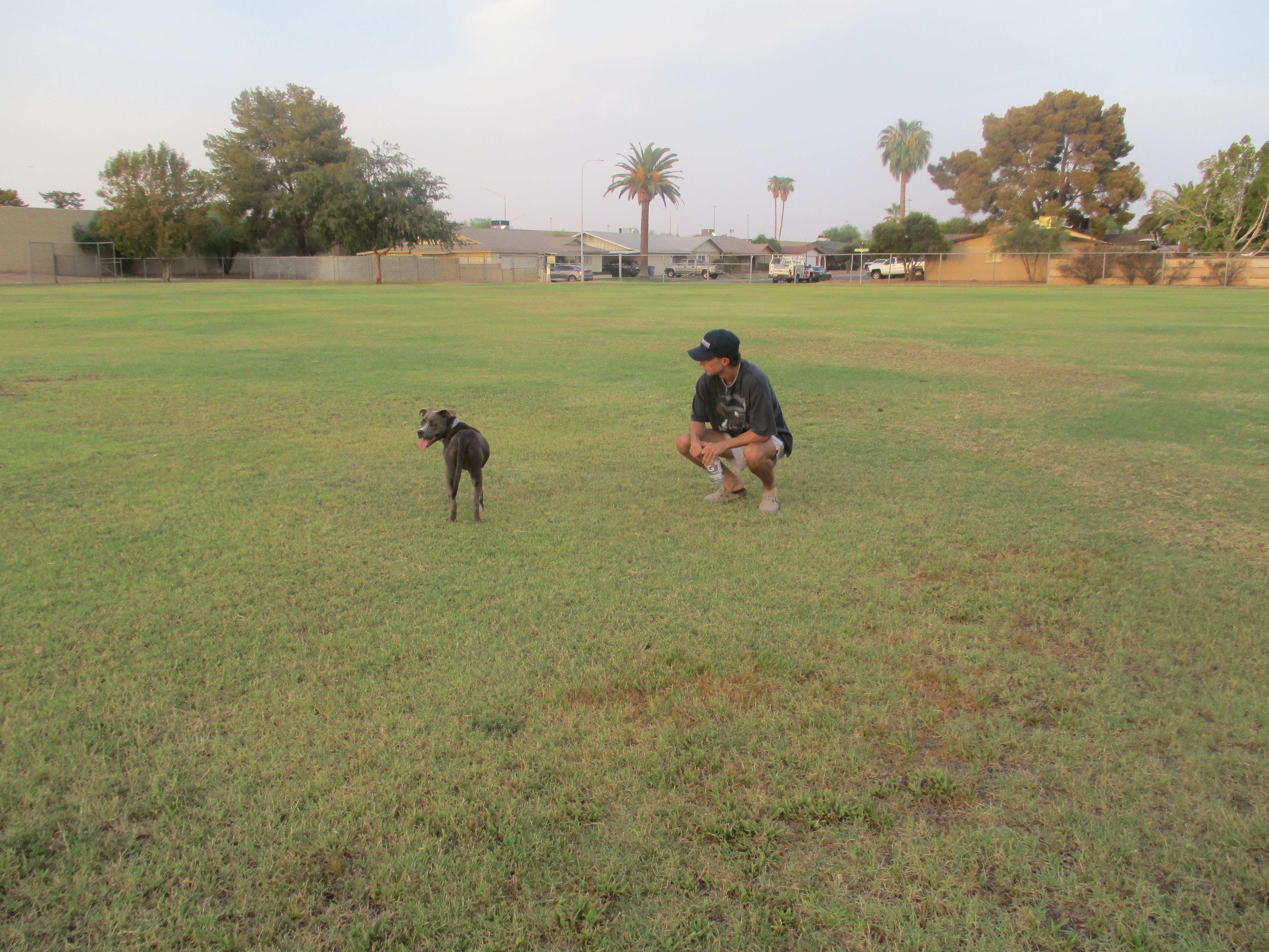 Save Blue: Urgent Parvovirus Treatment campaign photo, 6 of 8