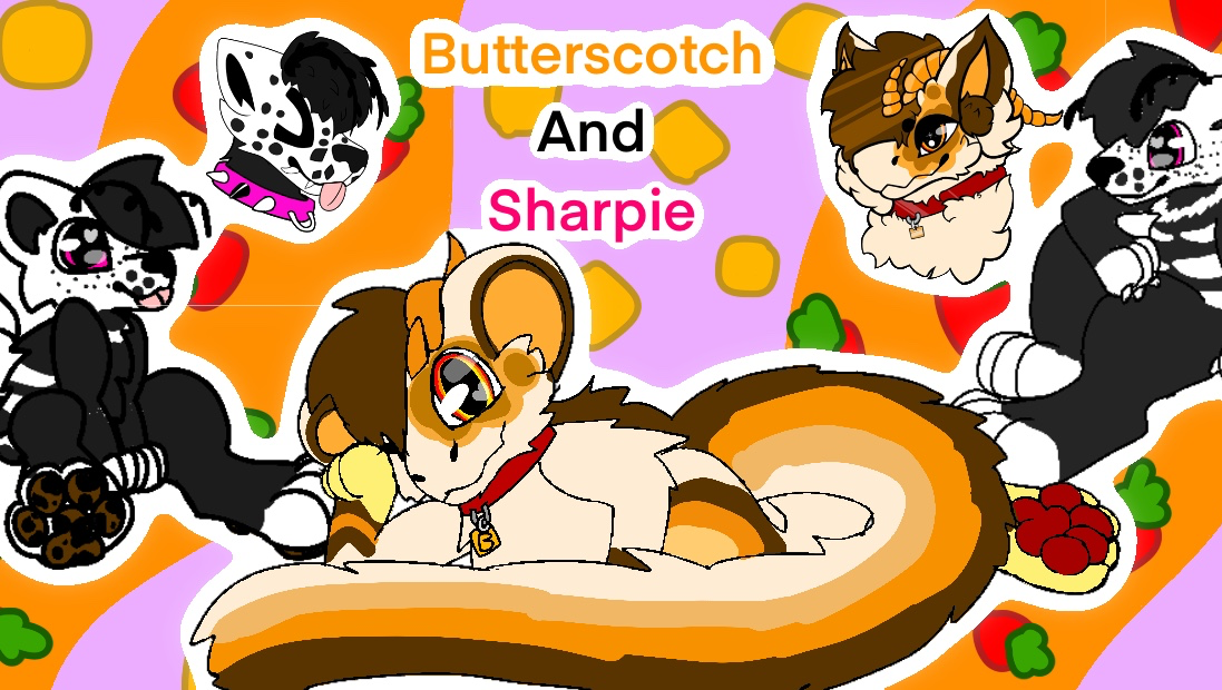 PLEASE HELP US FIND A HOME photo