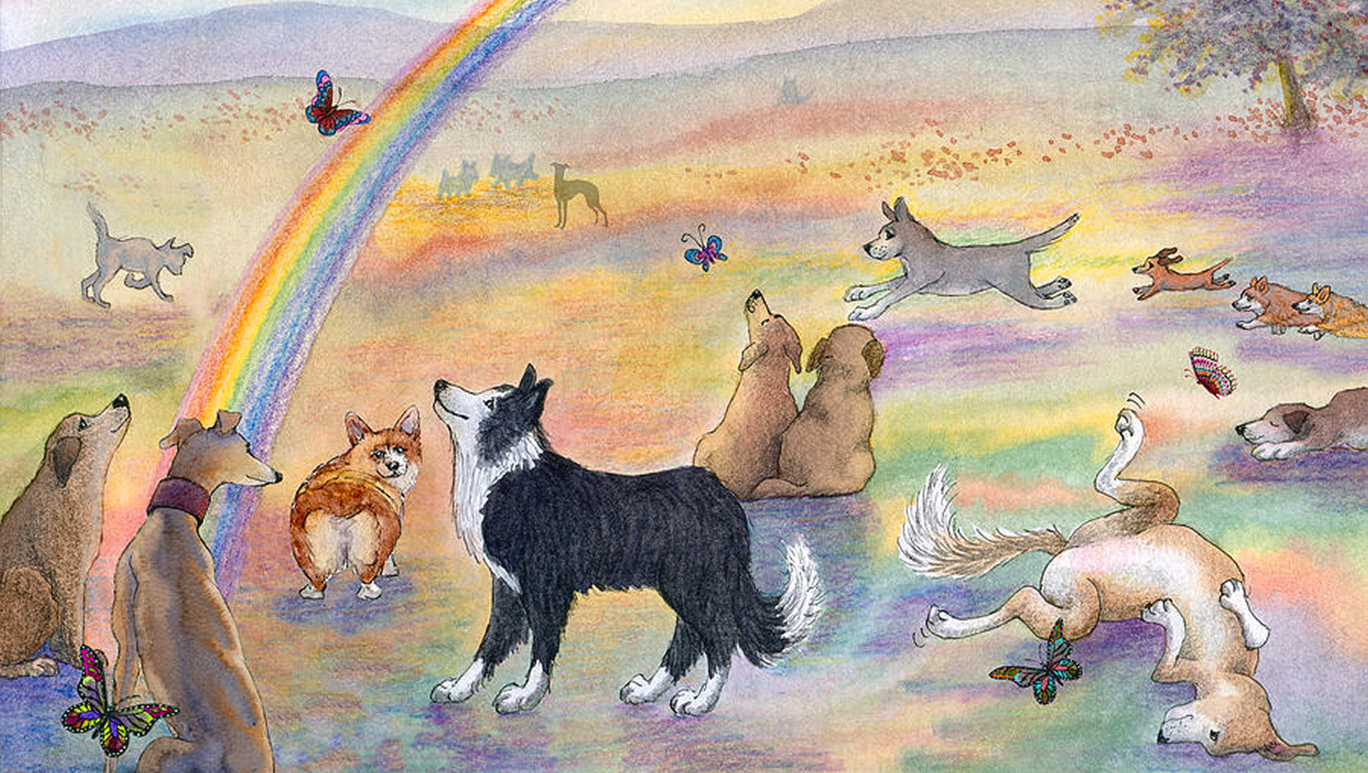 Fundraiser for Wise Animal Rescue by The Rainbow Bridge Project Hoboken ...