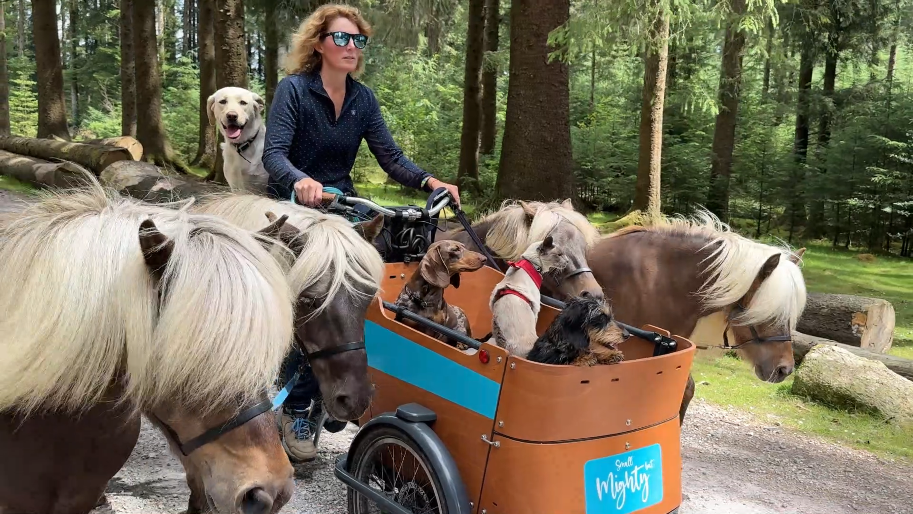 Help Bring Our Next Animal Adventure Mini-Series to Life! campaign photo, 4 of 7
