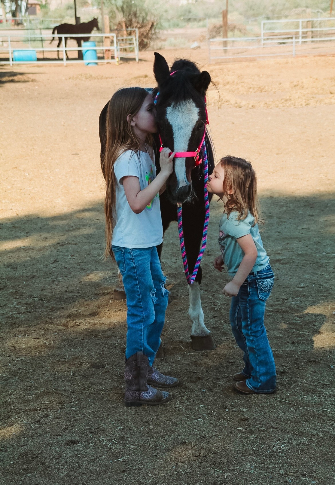 Help us save our girls pony campaign photo, 6 of 7