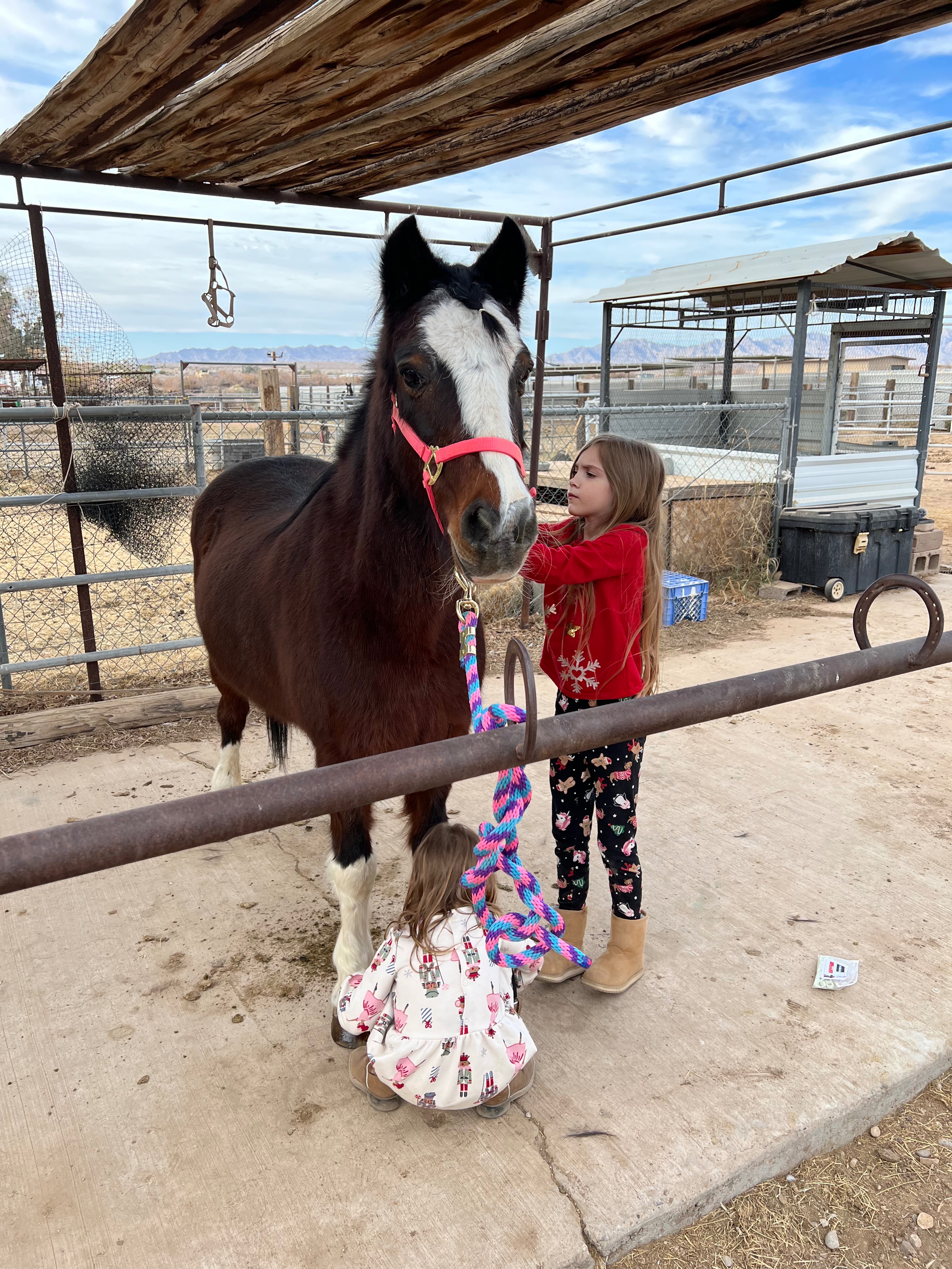 Help us save our girls pony campaign photo, 5 of 7