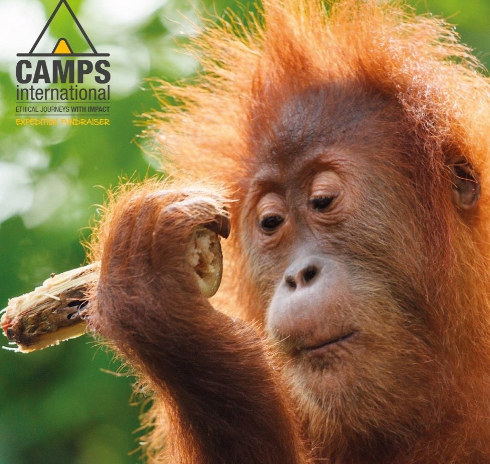 Isla’s Borneo Expedition 2027 campaign photo, 2 of 4