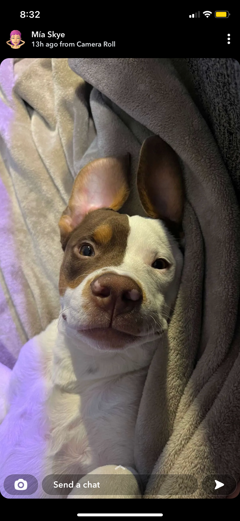 Support Bean's Life-Saving Procedure campaign photo, 2 of 8
