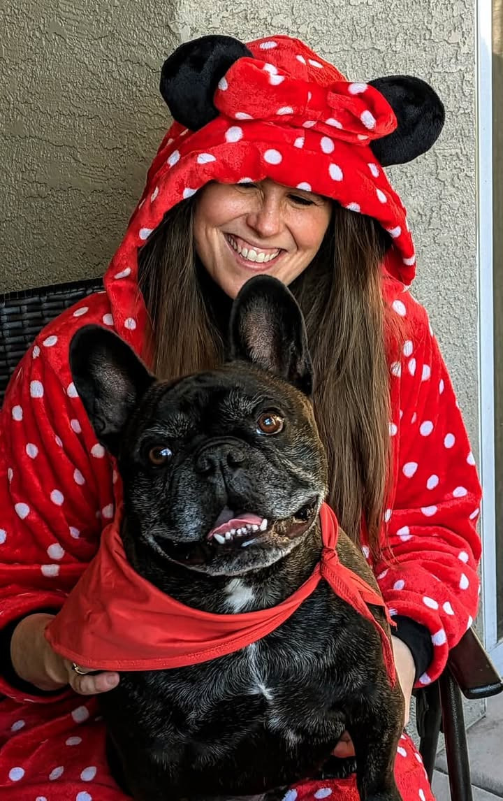 Urgent Help for Romeo - Frenchie Facing Neurological Crisis campaign photo, 7 of 8