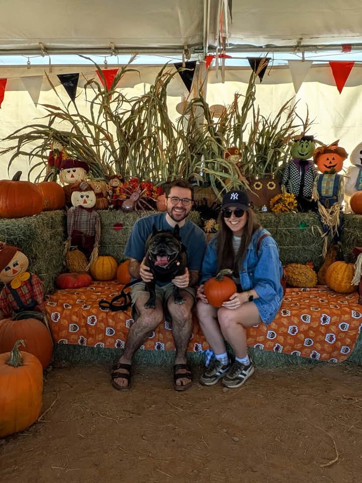 Urgent Help for Romeo - Frenchie Facing Neurological Crisis campaign photo, 2 of 8