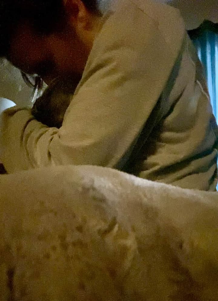 Urgent Help for Romeo - Frenchie Facing Neurological Crisis campaign photo, 6 of 8