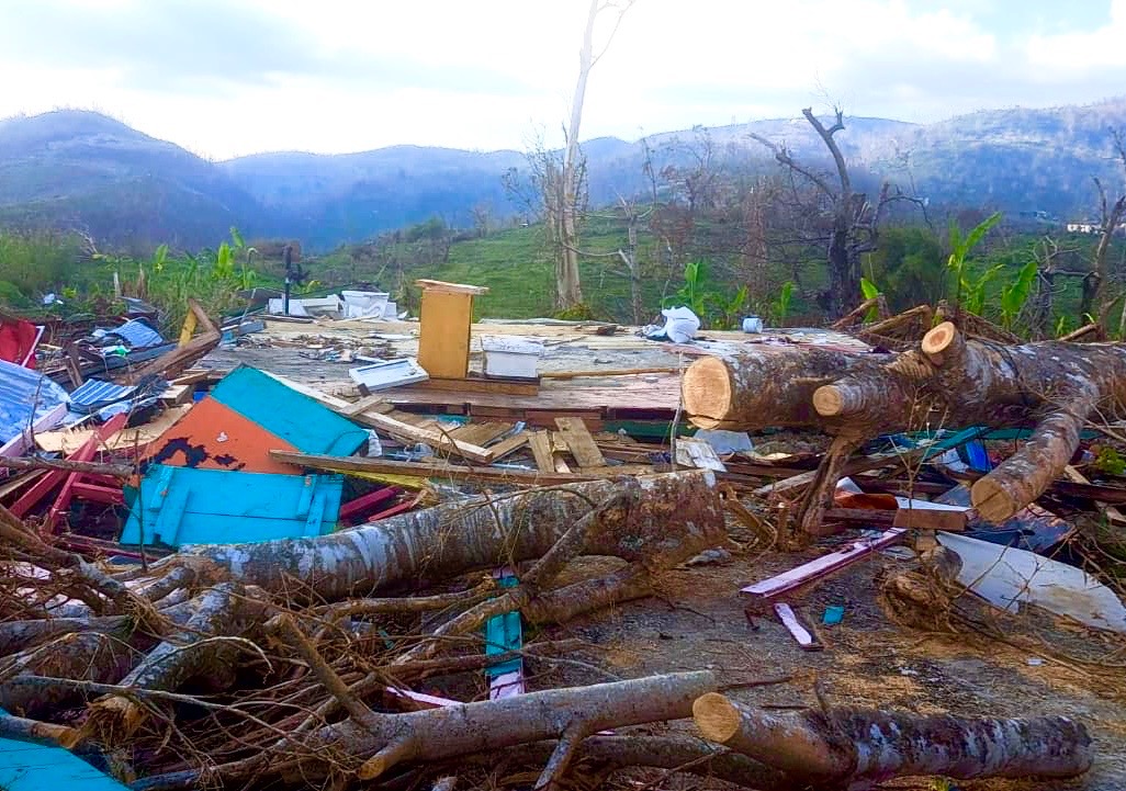 Jamaica… From Your Heart to Their Hands campaign photo, 2 of 7
