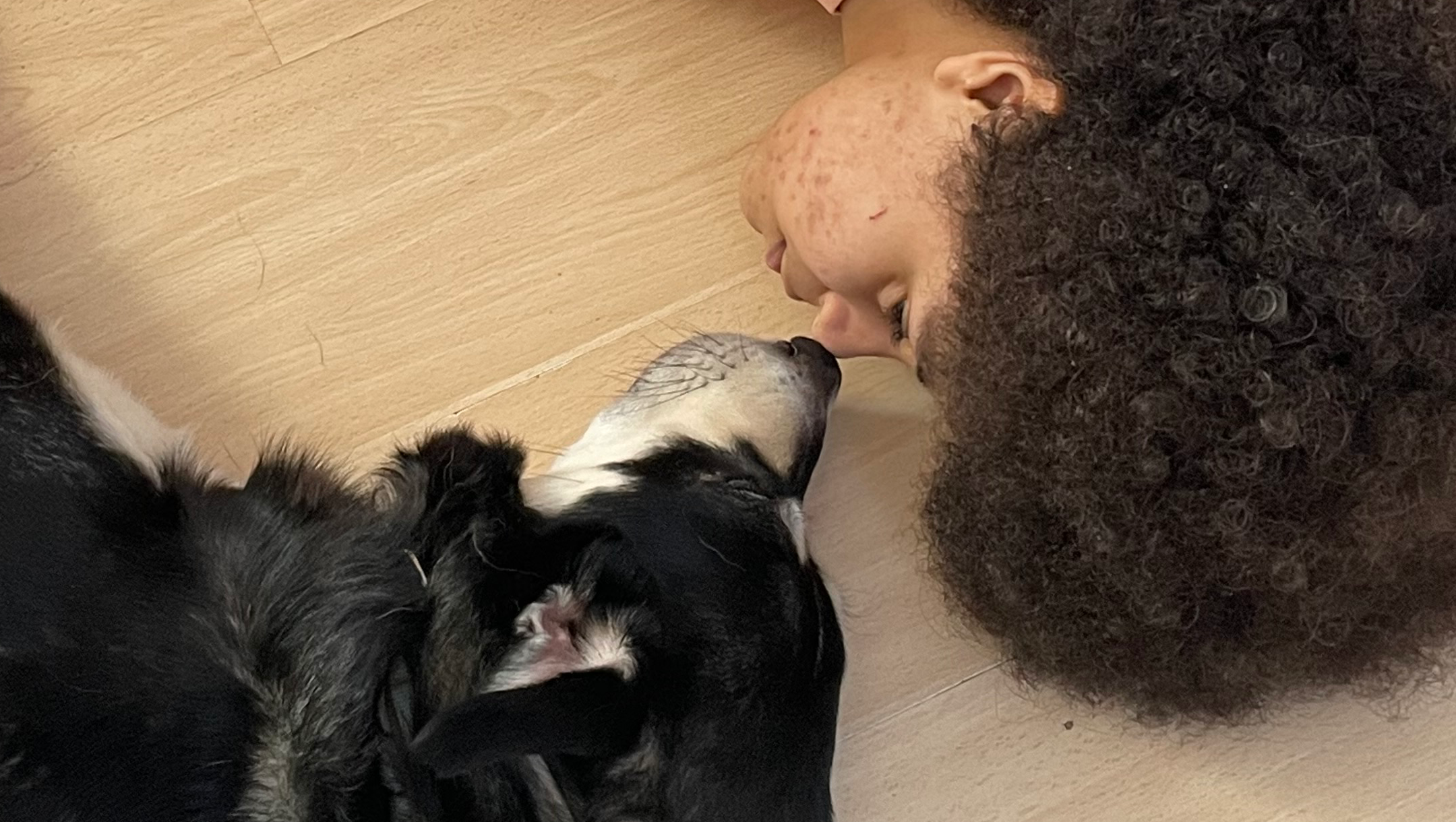 Donate to help pay for his surgery photo