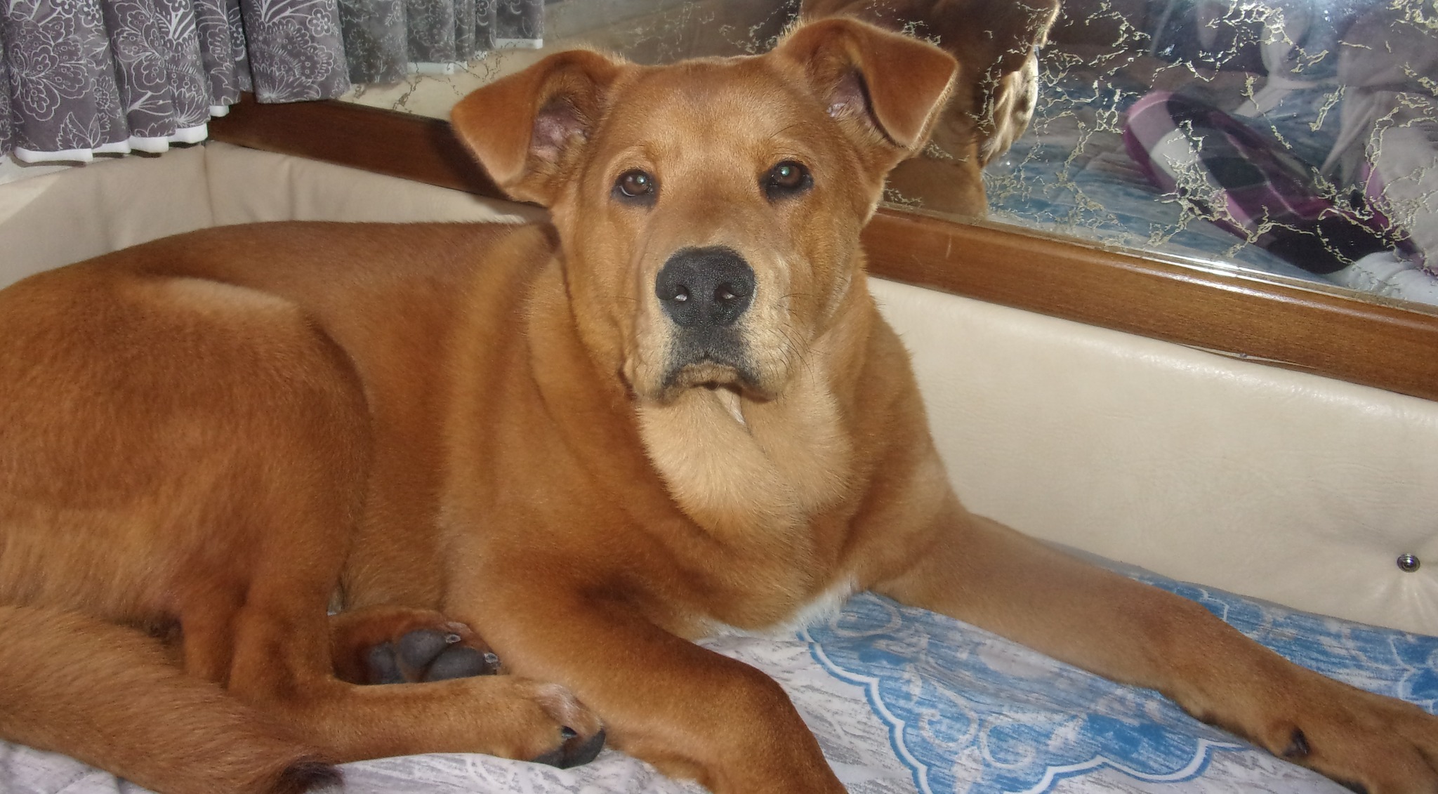 Donate to Help Andy & Kathy As They Seek Stable Housing campaign photo, 2 of 6