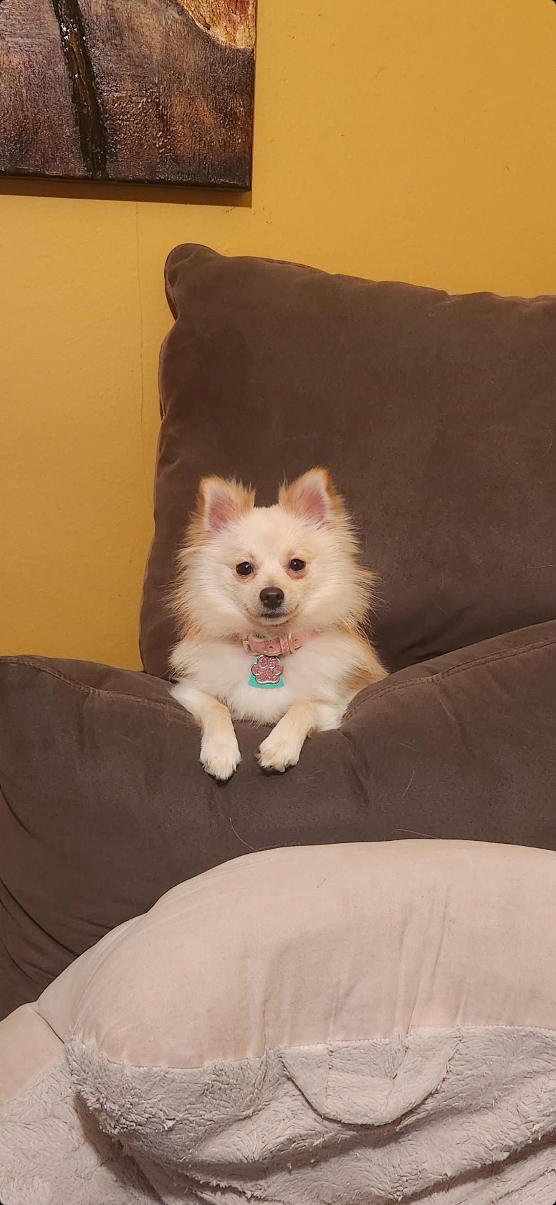 Help Khloe Get Life-Saving Surgery campaign photo, 2 of 8