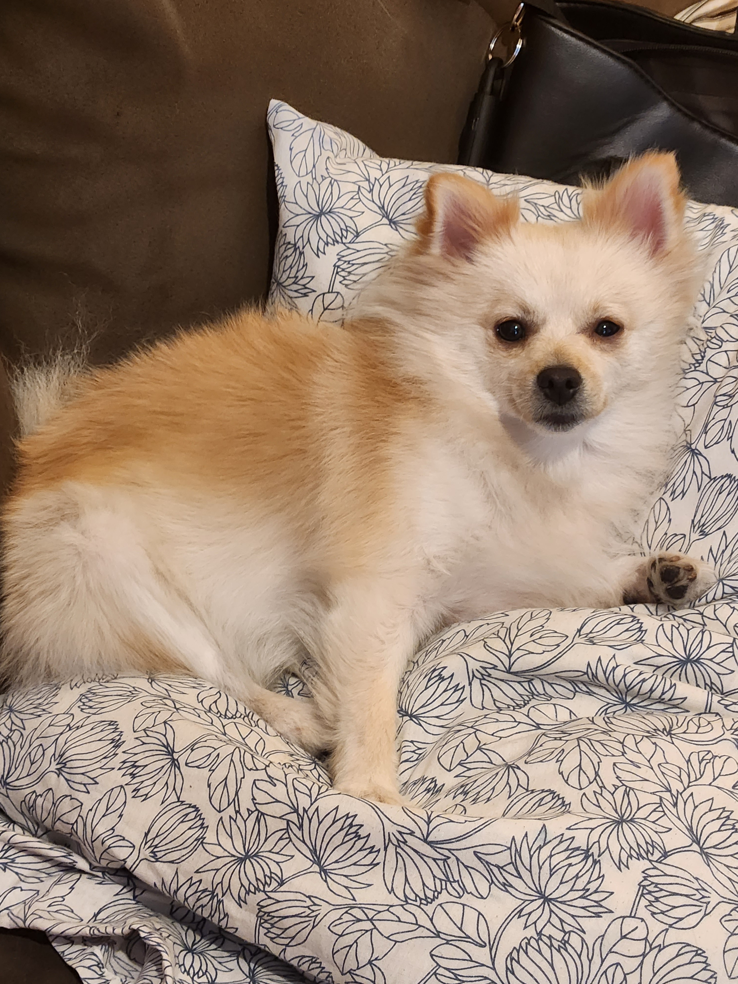 Help Khloe Get Life-Saving Surgery campaign photo, 6 of 8