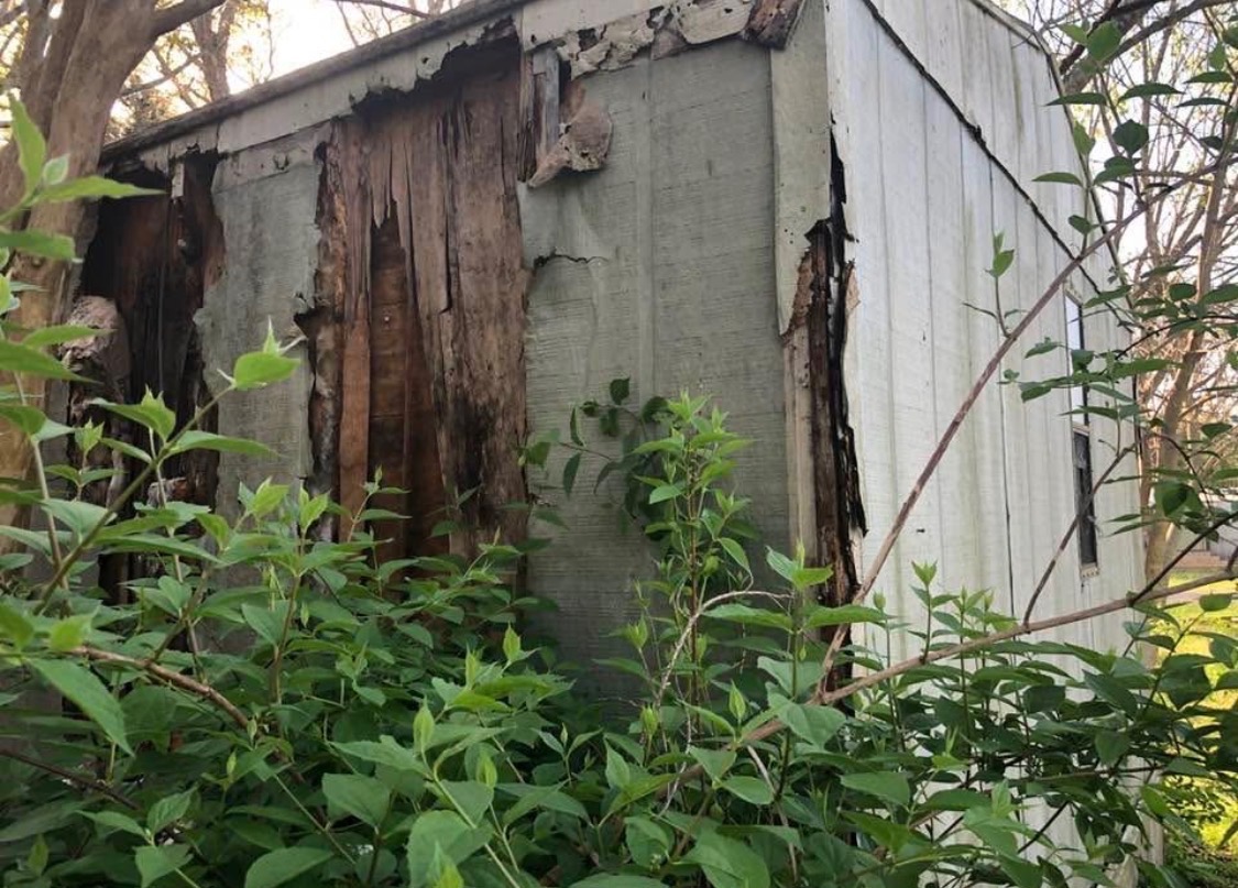 Restore Melody’s Home & Peace—Join Us in Hope campaign photo, 7 of 8