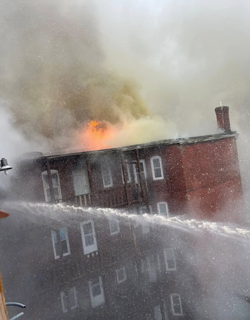Help Us and Our Cats Recover After a Total Loss Fire campaign photo, 7 of 8